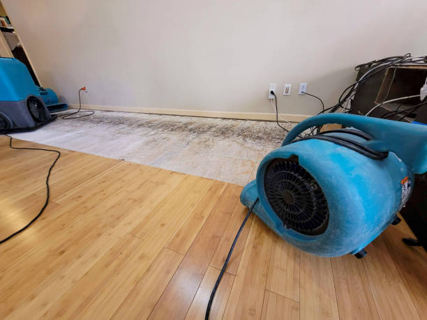 Professional Flood Damage Cleanup technician working in Meridian, MS